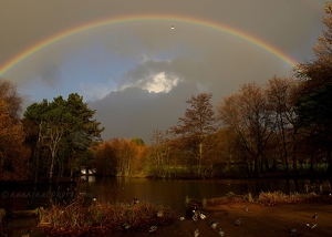 Calderstones Lake & Rainbow