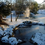 20100108-frozen-sefton-park.jpg
