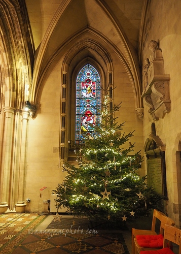 20151215-christ-church-cathedral-christmas-tree.jpg