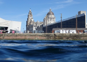 Pier Head from Canning Dock