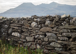 Moelwynion and Stone Wall