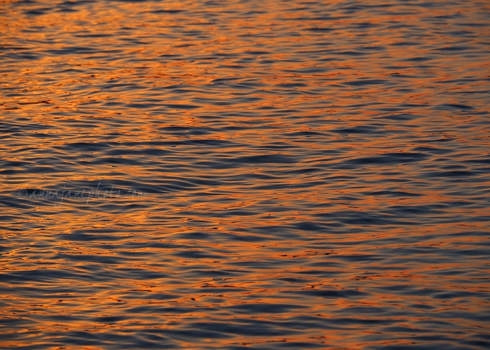 20190701-sunset-reflection.jpg