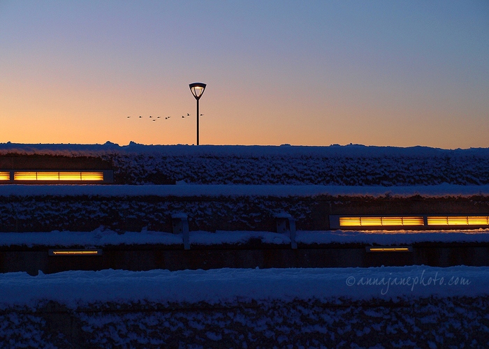 20100106-geese-sunset.jpg