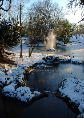 20100108-frozen-sefton-park.jpg