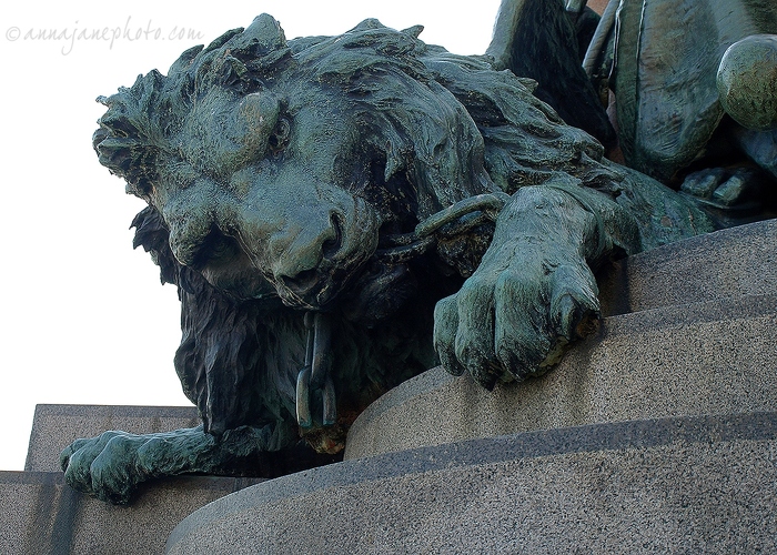 Vittorio Emanuele II Statue - 20100711-lion-vittorio-emanuele-ii-statue.jpg