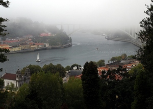Ponte de Arrábida & Douro