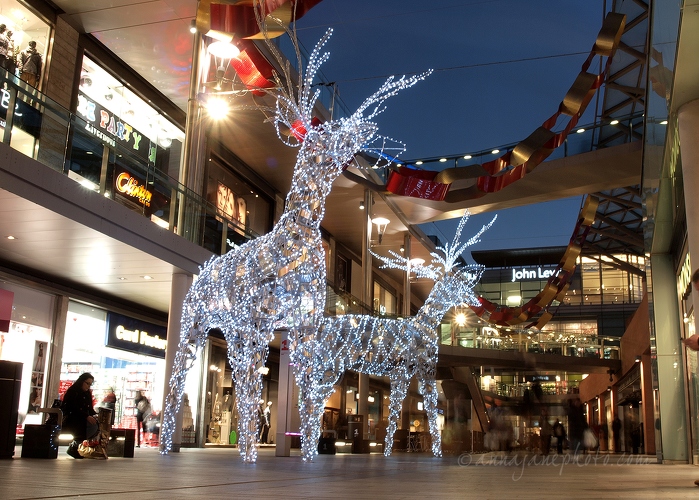 20121128-light-reindeers-liverpool-one.jpg