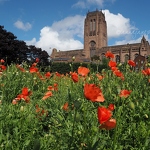 Cathedral & Poppies