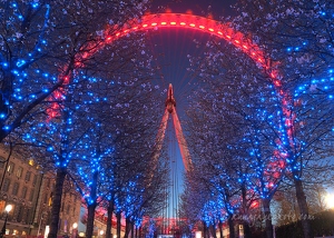 London Eye & Blossom