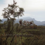 S'Albufereta Nature Reserve & Mountains Panorama