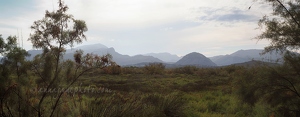 S'Albufereta Nature Reserve & Mountains Panorama