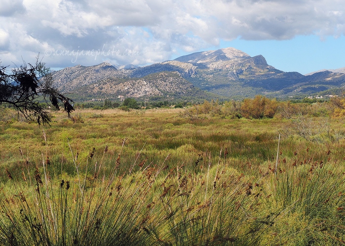 S'Albufereta Nature Reserve & Mountains - 20150816-s'albufereta-nature-reserve-2.jpg