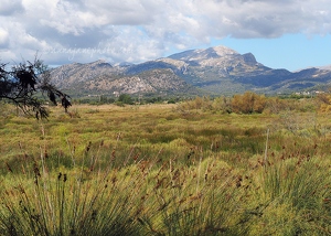 S'Albufereta Nature Reserve & Mountains