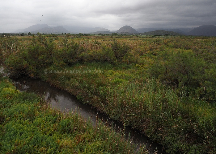 Rainy S'Albufereta Nature Reserve - 20150818-rainy-s'albufereta-nature-reserve.jpg