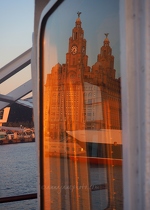 Liver Building Reflected
