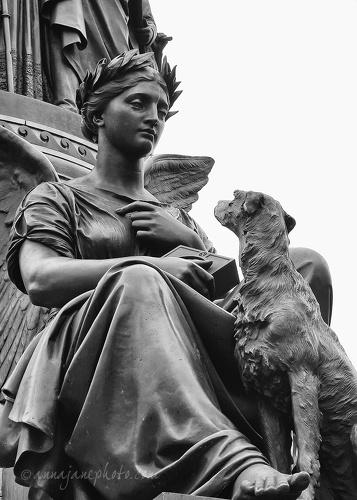 Fidelity & Wolfhound - 20151215-o'connell-monument-dublin.jpg