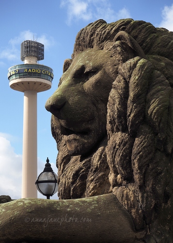Lion & Radio City Tower - 20160330-st-george's-plateau-lion-liverpool.jpg