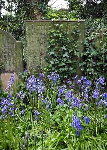 20160505-bluebells-and-gravestones.jpg