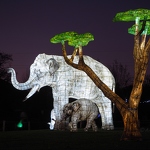 Elephant Lanterns