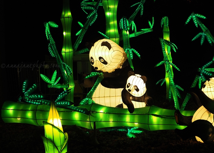 Panda Lanterns - 20161203-panda-lanterns.jpg