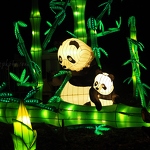 Panda Lanterns