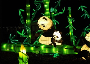 Panda Lanterns