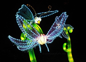 Butterfly & Flower Lantern