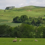 Moniaive Countryside