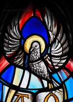 Bird Stained Glass