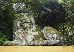 Portmeirion Lion Statue