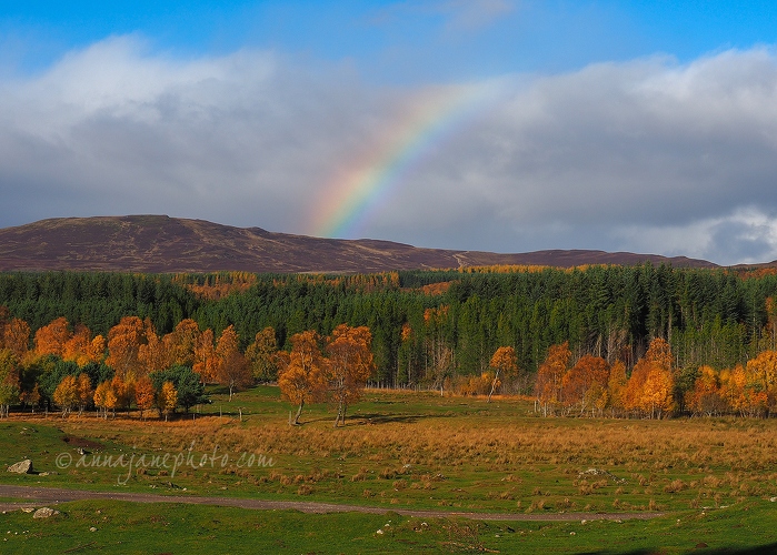 Cairngorms Rainbow - 20181021-cairngorms-rainbow.jpg