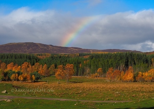 Cairngorms Rainbow