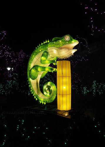 Chameleon Lantern - 20181223-chameleon-lantern.jpg