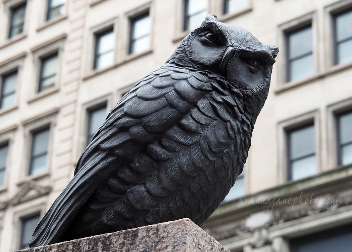 Herald Square Owl - 20190411-herald-square-owl.jpg