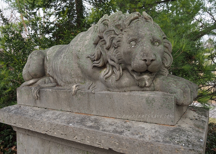 Lion Statue - 20191228-lion-statue-spring-grove.jpg