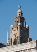 Liver Building with Shadow