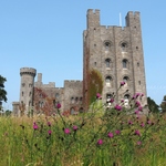Penrhyn Castle & Thistles