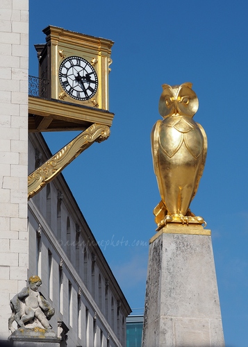 Leeds City Hall Clock & Owl - 20210404-leeds-city-hall-owl.jpg
