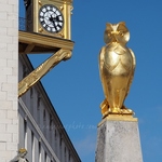 Leeds City Hall Clock & Owl