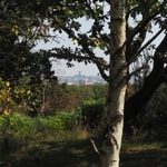 Liverpool Cathedral from Bidston Hill