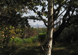 Liverpool Cathedral from Bidston Hill