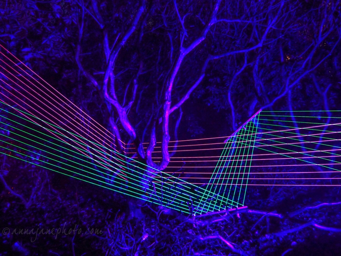 Neon Tree - 20211226-neon-tree.jpg