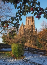 Berries & Liverpool Cathedral