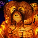 Chester Zoo Lanterns - Orangutan