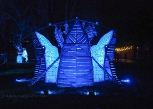Chester Zoo Lanterns - Whales