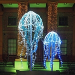 Jellyfish Lights