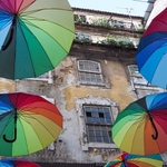 Pink Street Umbrellas