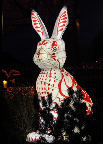 20230121-chinatown-rabbit.jpg