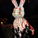 20230121 Chinatown Rabbit (2) 1600px