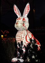 20230121 Chinatown Rabbit (2) 1600px